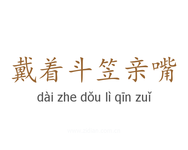 戴着斗笠亲嘴