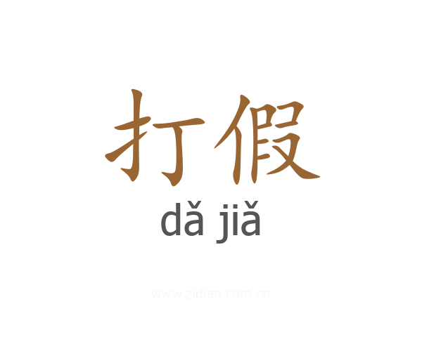 打假