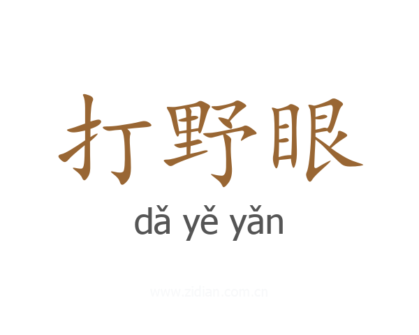 打野眼