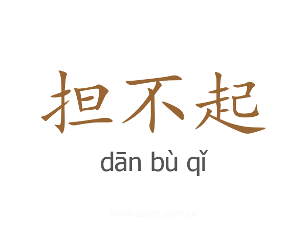 担不起