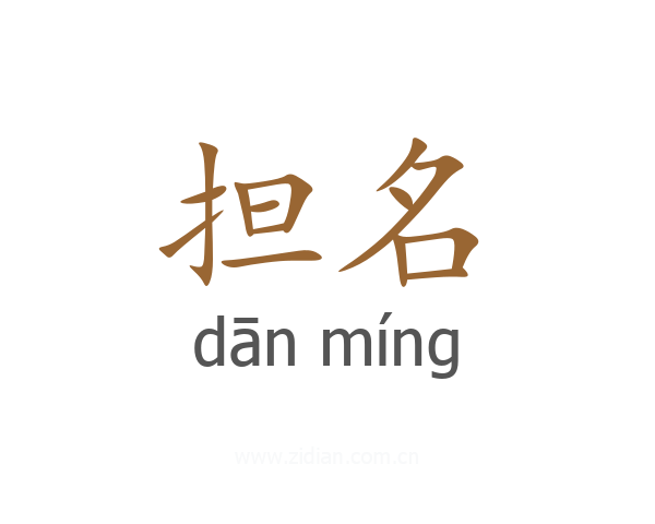 担名