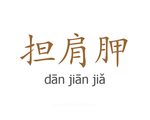 担肩胛