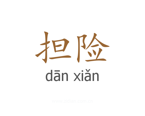 担险