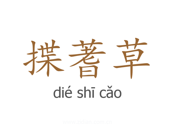 揲蓍草