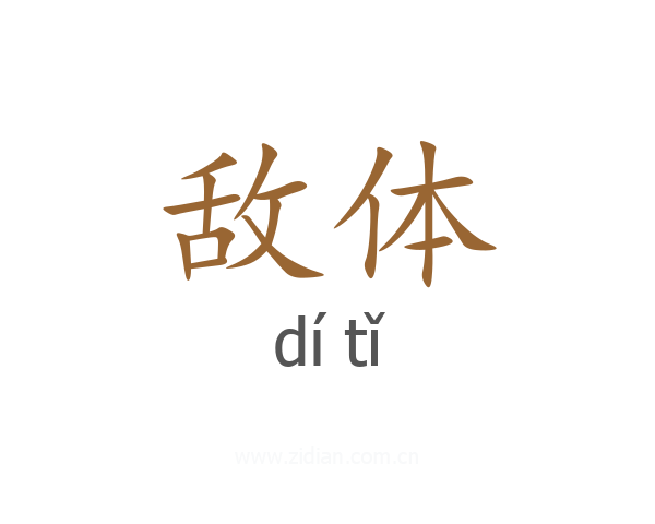 敌体
