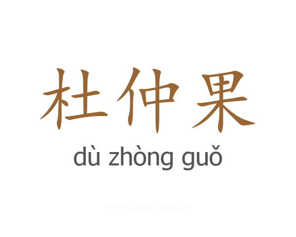 杜仲果