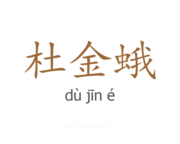 杜金蛾