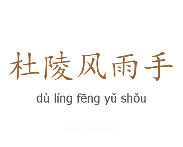 杜陵风雨手