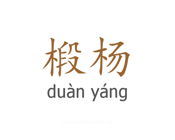 椴杨