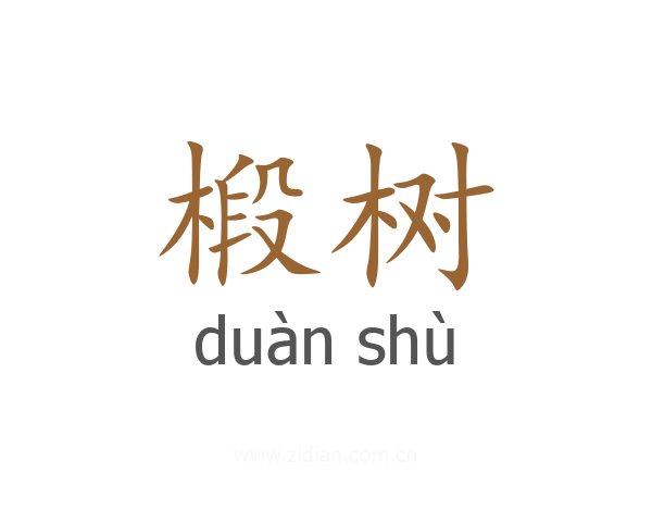 椴树