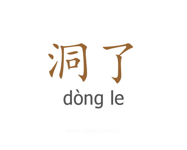 洞了