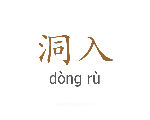 洞入