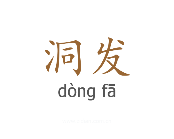 洞发