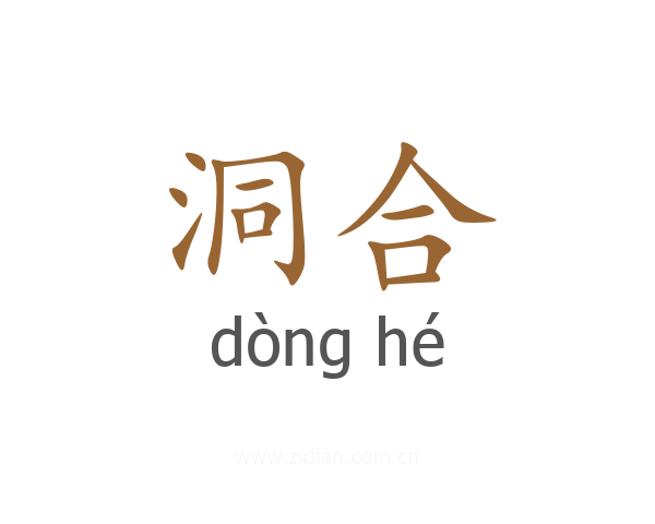 洞合
