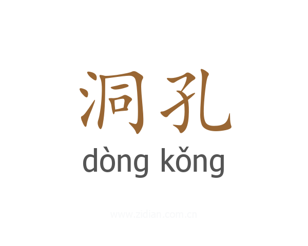 洞孔