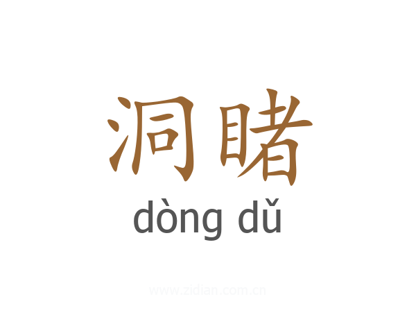 洞睹
