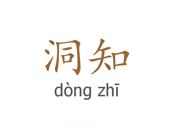 洞知