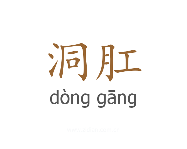 洞肛