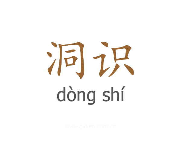 洞识