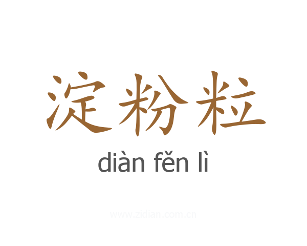淀粉粒