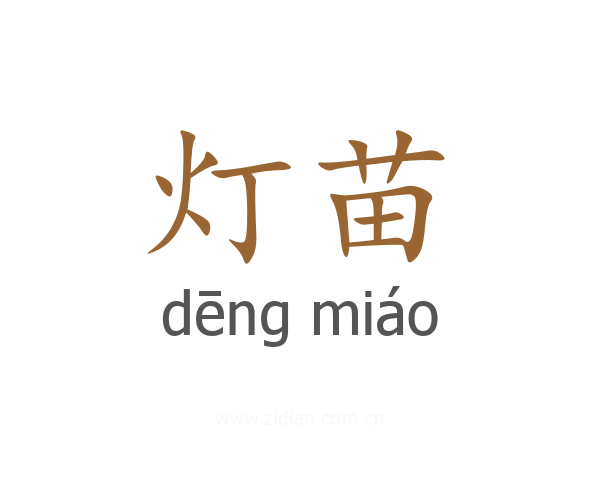 灯苗