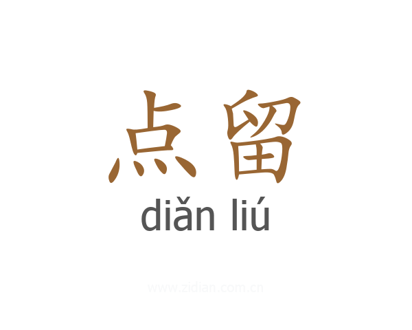 点留