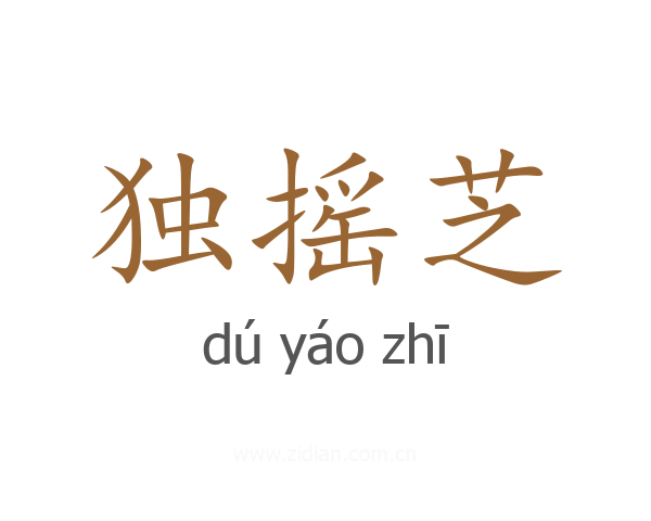 独摇芝