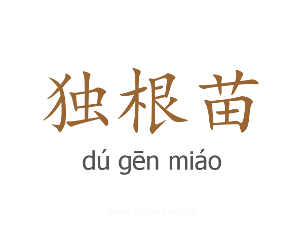 独根苗