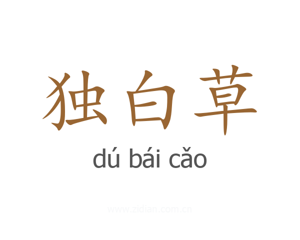 独白草