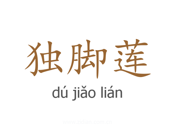 独脚莲