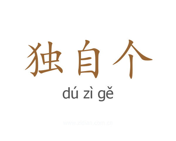 独自个
