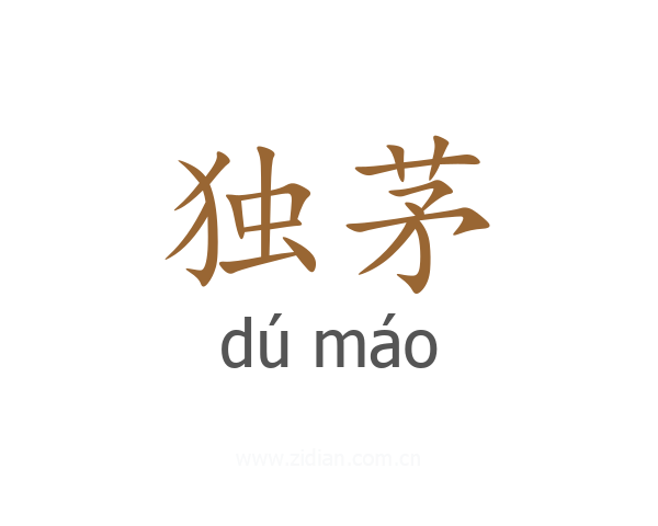独茅