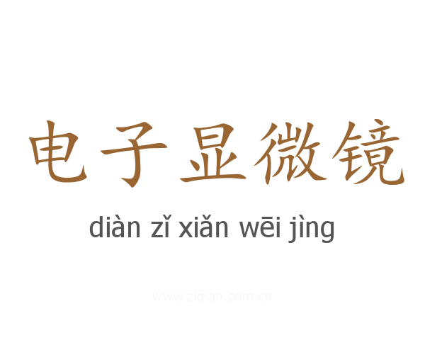 电子显微镜