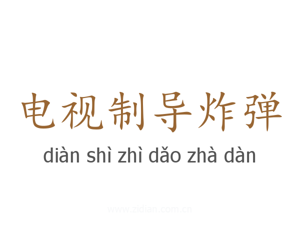 电视制导炸弹