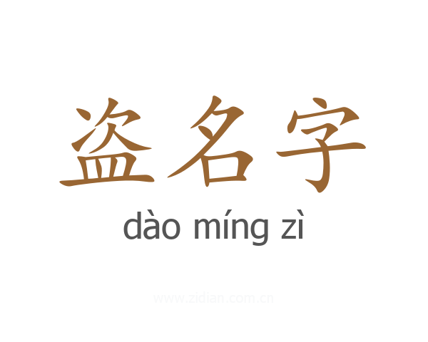 盗名字