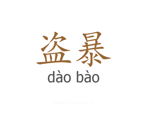 盗暴