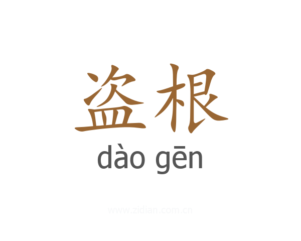 盗根