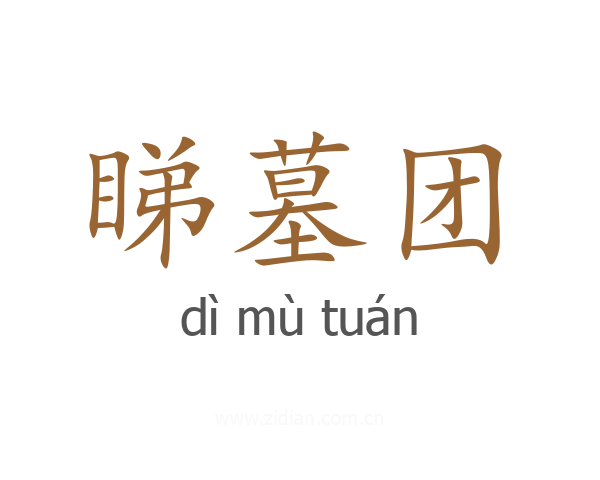 睇墓团