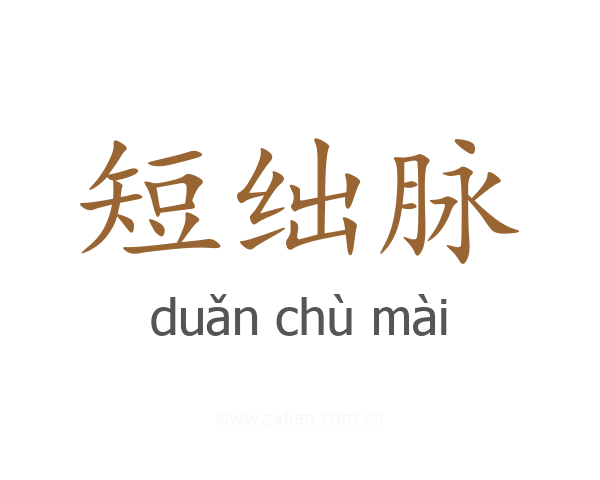 短绌脉
