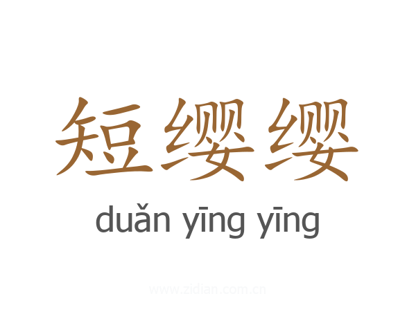 短缨缨