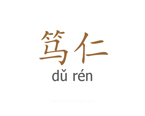 笃仁