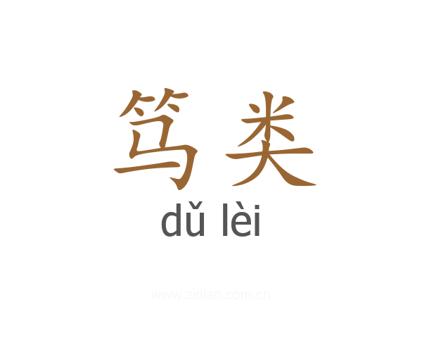 笃类
