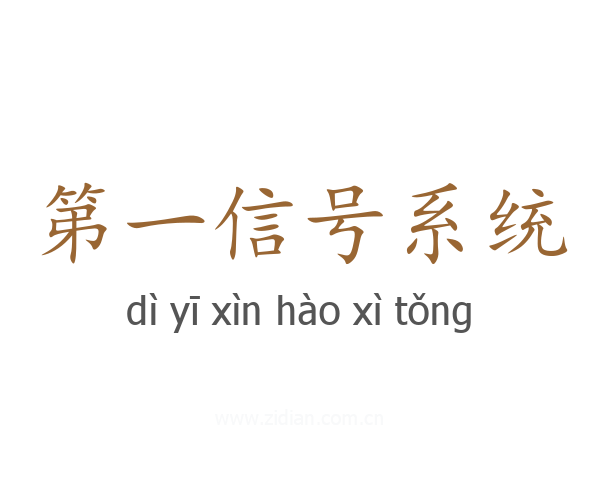 第一信号系统