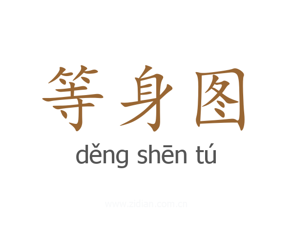 等身图