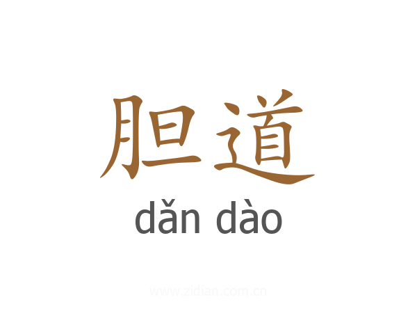 胆道