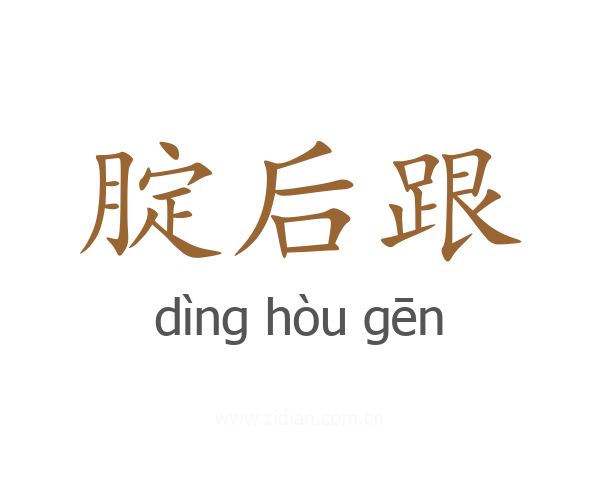 腚后跟