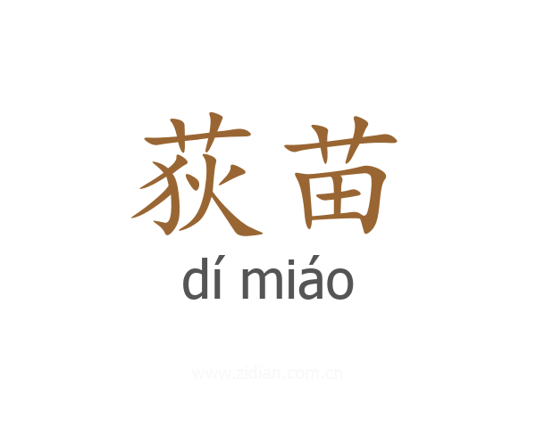 荻苗