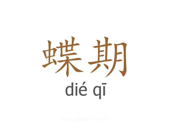 蝶期