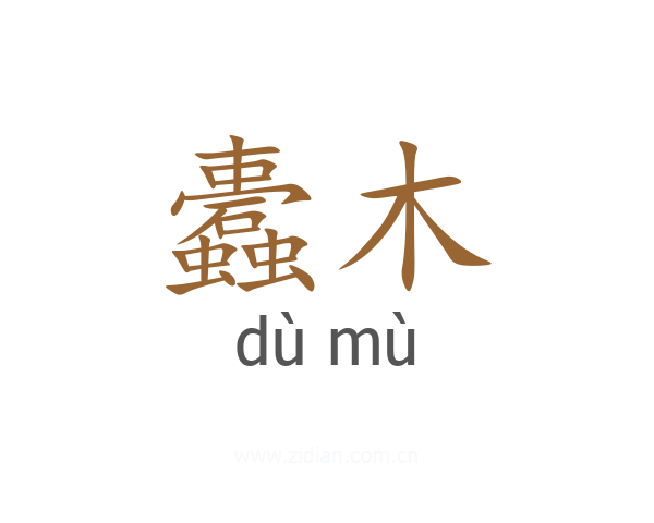 蠹木