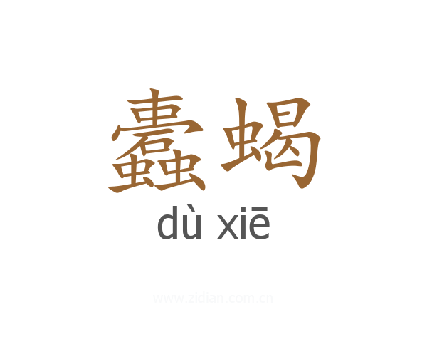 蠹蝎
